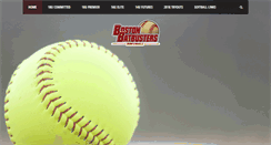 Desktop Screenshot of bostonbatbusters.com
