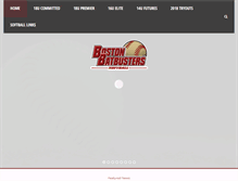 Tablet Screenshot of bostonbatbusters.com